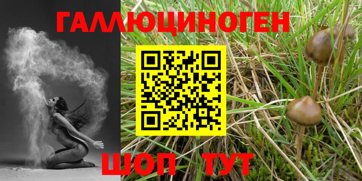 Галлюциногенные грибы GOLDEN TEACHER Узловая