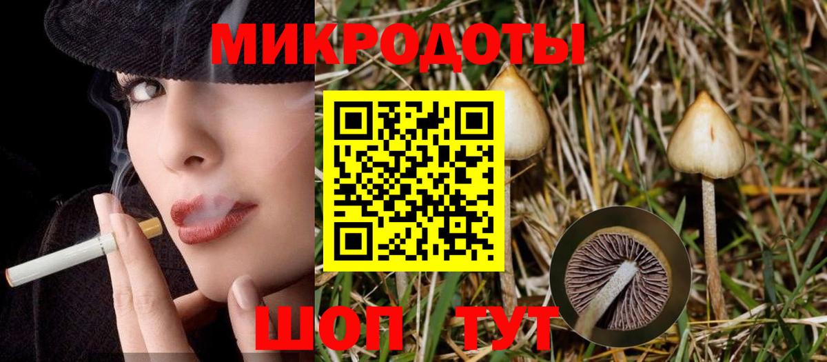 Узловая  купить наркотик  Вход с VPN  Галлюциногенные грибы Psilocybe 